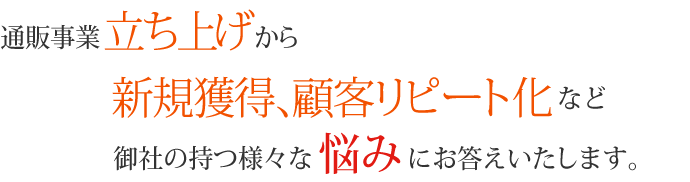 通販事業立ち上げから新規獲得、顧客リピート化など御社の持つ様々な悩みにお答えいたします。