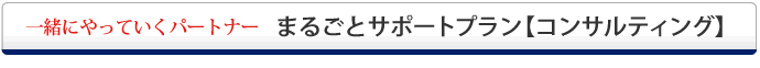 まるごとサポートプラン【コンサルティング】