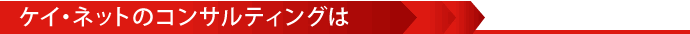 ケイ・ネットのコンサルティングは