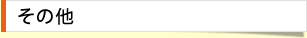 その他